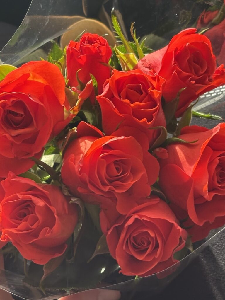A vibrant bouquet of deep red roses wrapped in clear film, capturing a rare romantic gesture in Lisbon.